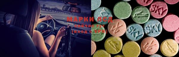 ПСИЛОЦИБИНОВЫЕ ГРИБЫ Алексеевка