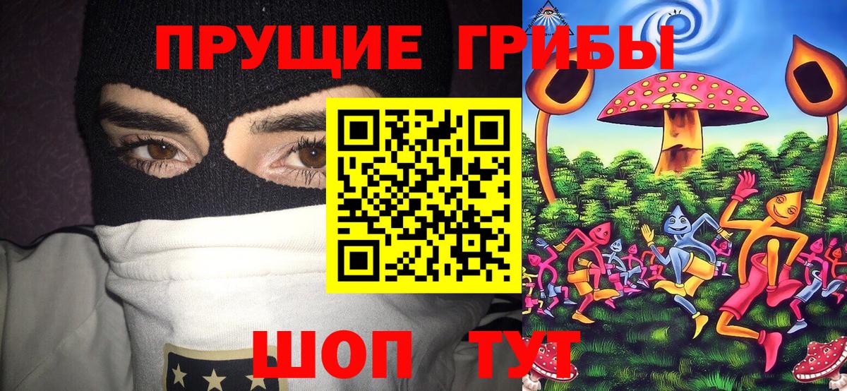 Псилоцибиновые грибы прущие грибы Усолье-Сибирское